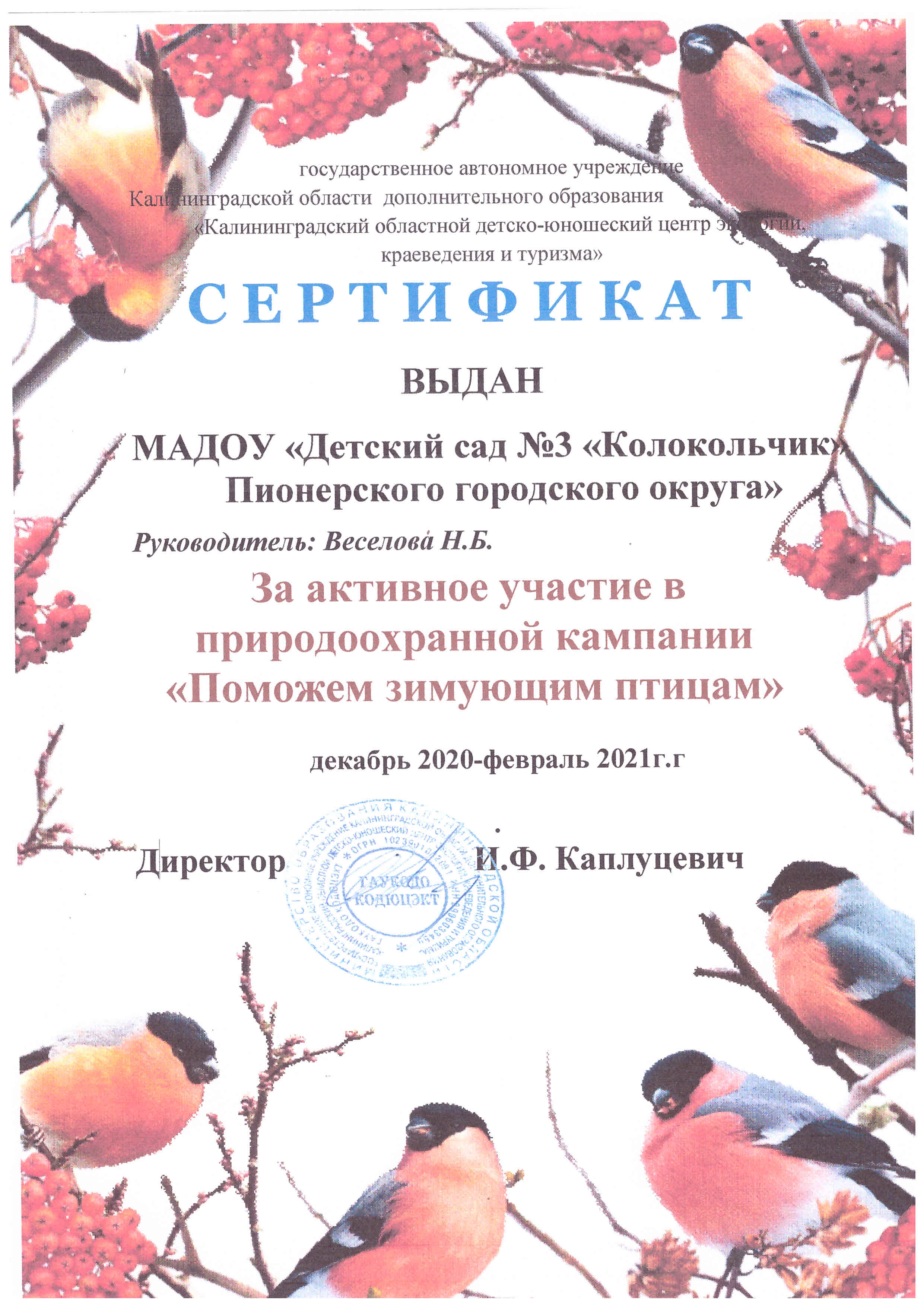Сертификат Птицы 2021